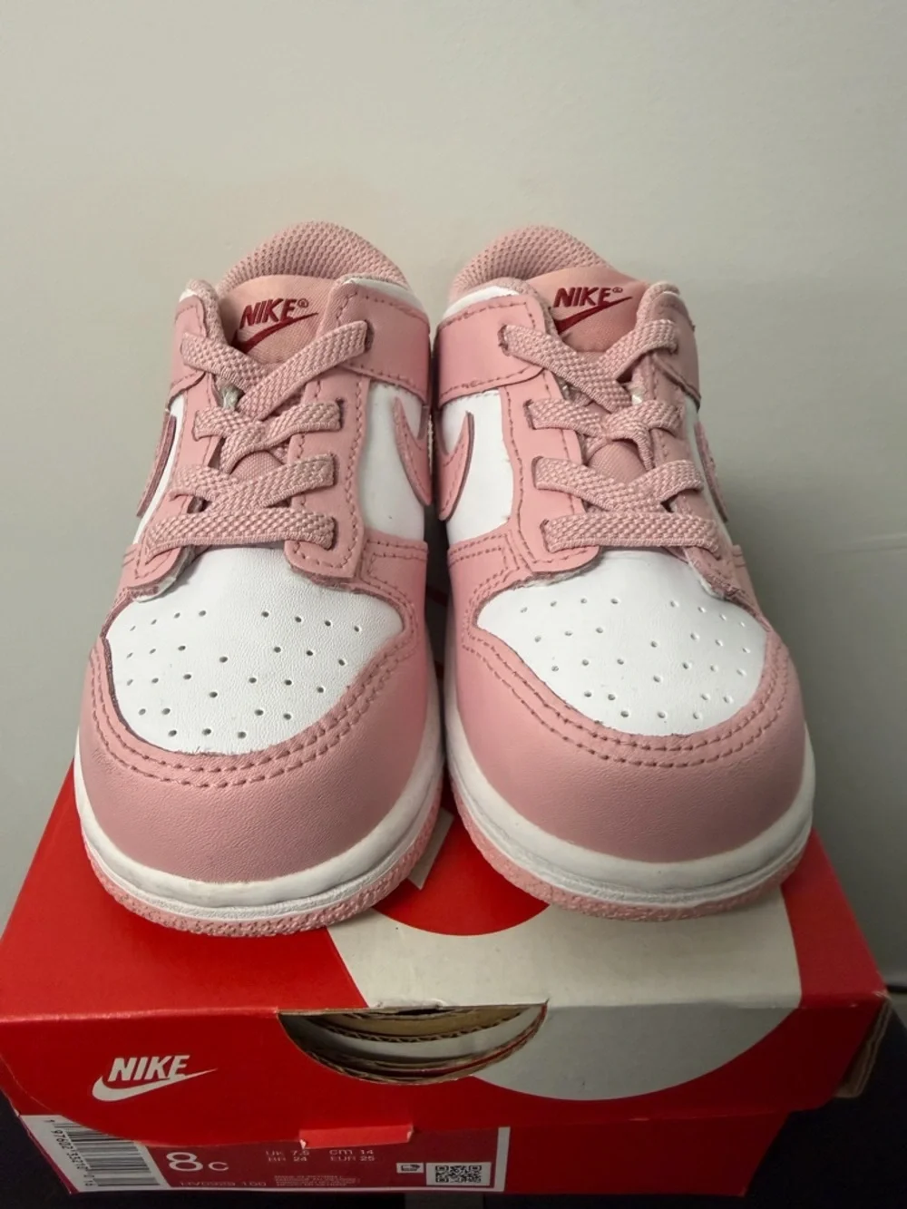 Toddler Nike Dunk Low